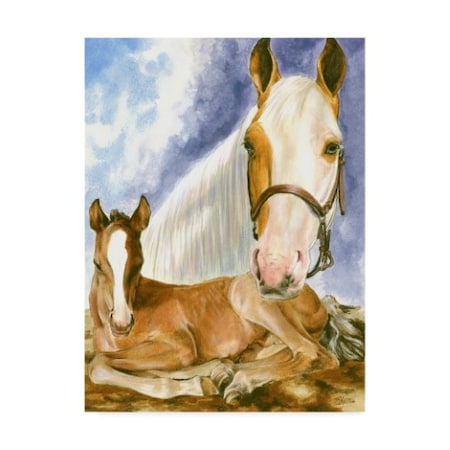 Barbara Keith 'Missouri Fox Trotter' Canvas Art,14x19